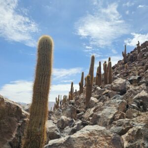 Trekking Guatín - Cañón de Cactus y Cascadas.
